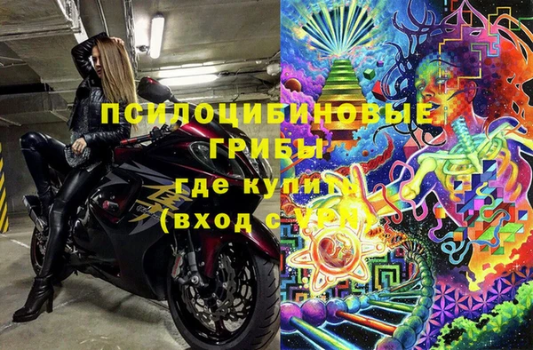 твердый Арсеньев