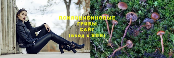 гашишное масло Аркадак