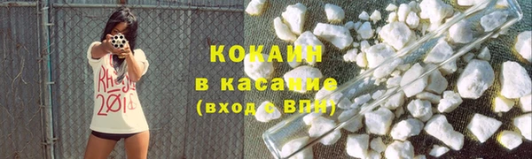 твердый Арсеньев