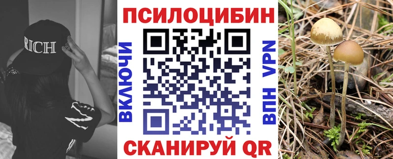 Псилоцибиновые грибы мицелий Борисоглебск