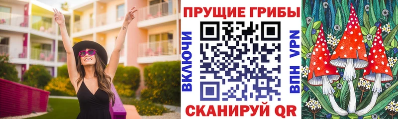 Галлюциногенные грибы мицелий  Борисоглебск 
