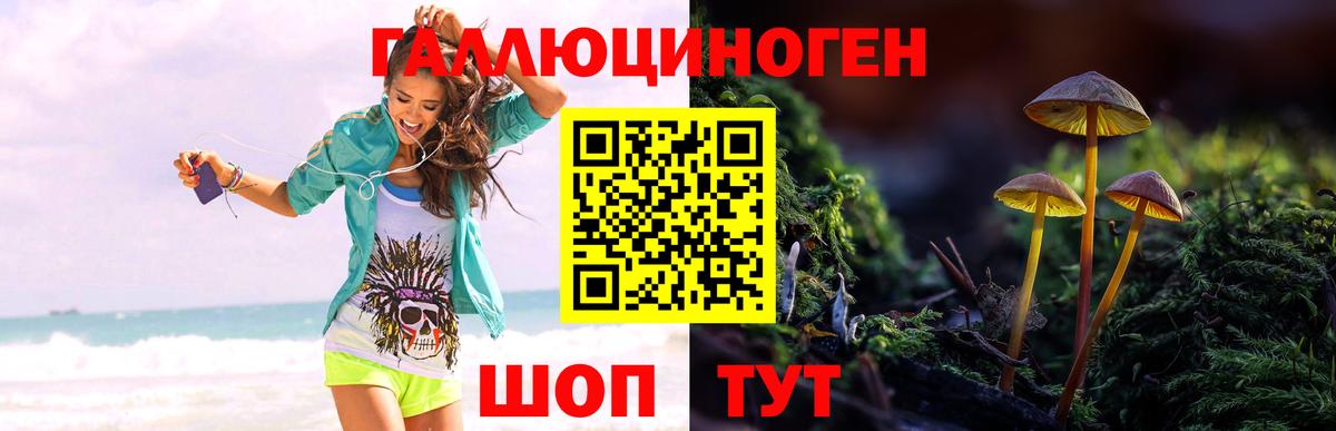 как найти наркотики  Псилоцибиновые грибы мицелий  Борисоглебск  Вход с VPN  Псилоцибиновые грибы Cubensis 